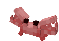 Rust